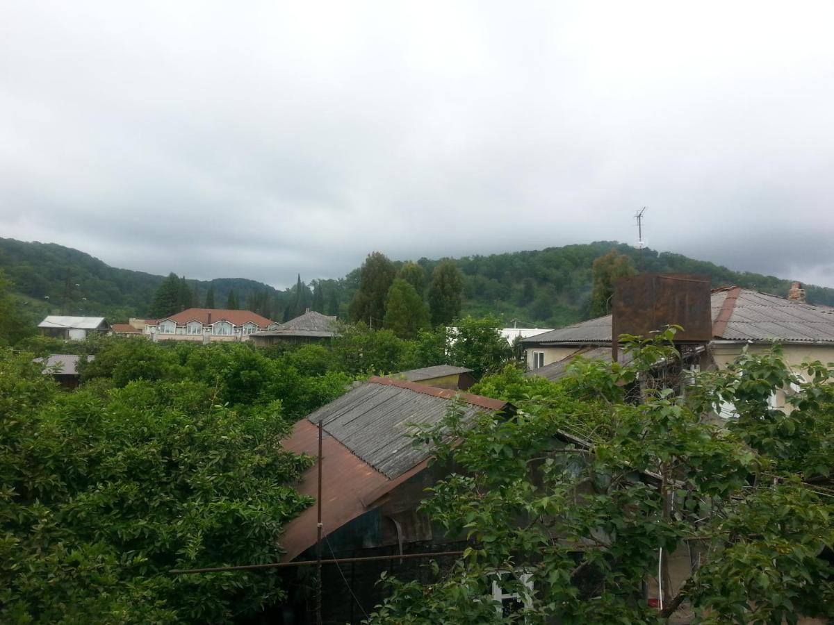 Guest House Yuzhnaya Palmira ピツンダ エクステリア 写真