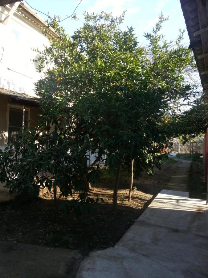 Guest House Yuzhnaya Palmira ピツンダ エクステリア 写真
